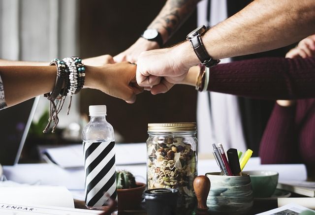 Tout Savoir sur le Feed : Un Guide Complet