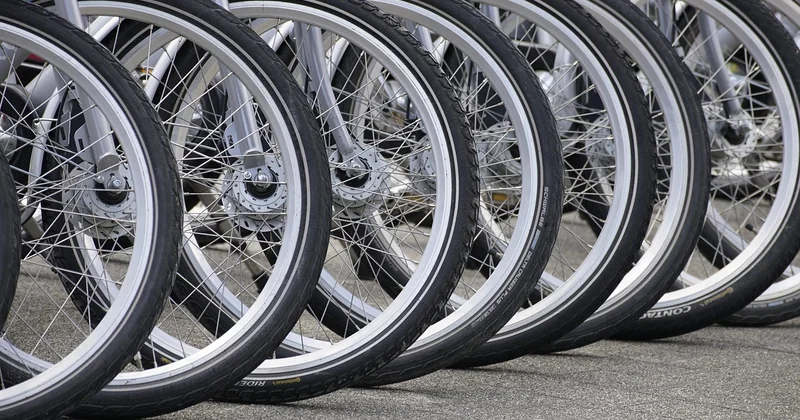 La mobilité : une caractéristique ou une conséquence ?
