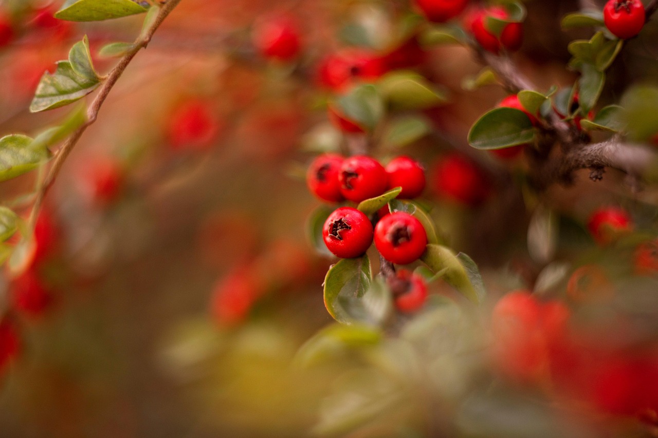 découvrez comment définir et appliquer une growth roadmap efficace pour accélérer la croissance de votre entreprise, optimiser vos stratégies et atteindre vos objectifs rapidement.