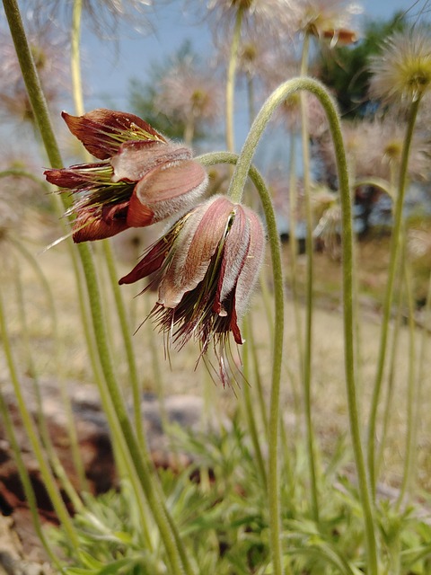 g2efa5040e8095977d9dde3dd79e481ecdb1aaf10307bceed41a8c535fed451d5b59d9d481a538161de4283d804bb9a006261f7d5c5d6fc88ccbfe2d85083a775 640